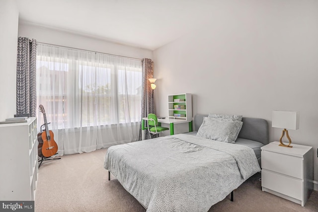 22287 Cornerstone Crossing Ter, Ashburn, VA 20148 - bedroom with carpet