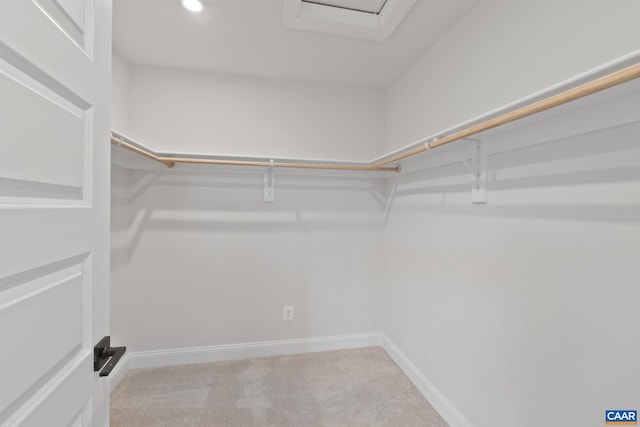 8 Talen Ln, Charlottesville, VA 22911 - spacious closet with carpet flooring