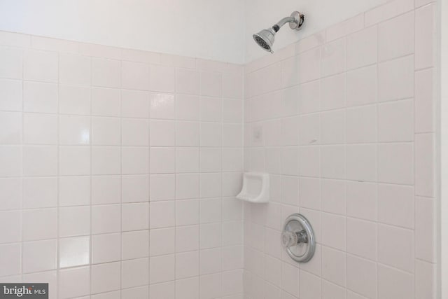 21055 Cornerpost Sq, Ashburn, VA 20147 - bathroom view of tiled shower