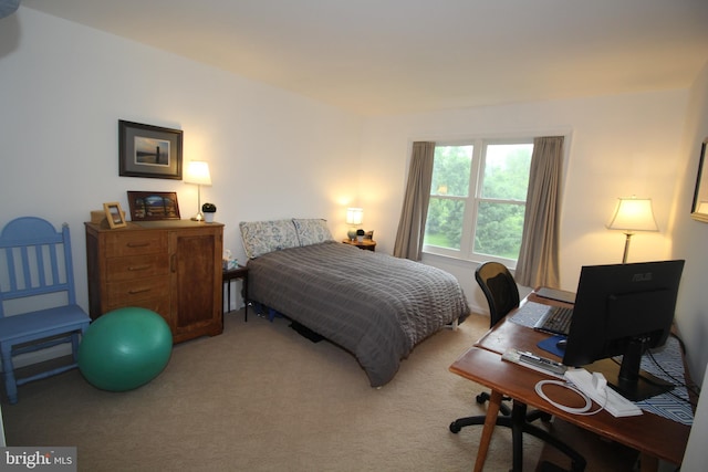 319 Fieldstone Dr, New Hope, PA 18938 - bedroom featuring light colored carpet and an office area