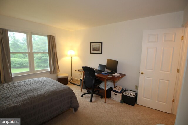 319 Fieldstone Dr, New Hope, PA 18938 - bedroom featuring light carpet and an office area