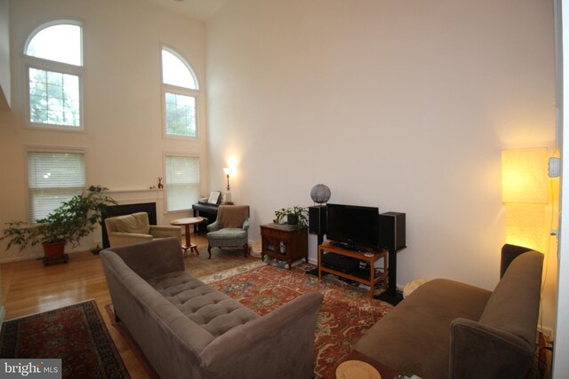 319 Fieldstone Dr, New Hope, PA 18938 - living area with a fireplace, a towering ceiling, and wood finished floors