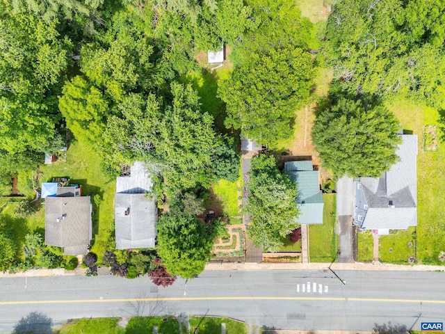 1319 Chesapeake St Unit 3, Charlottesville, VA 22902