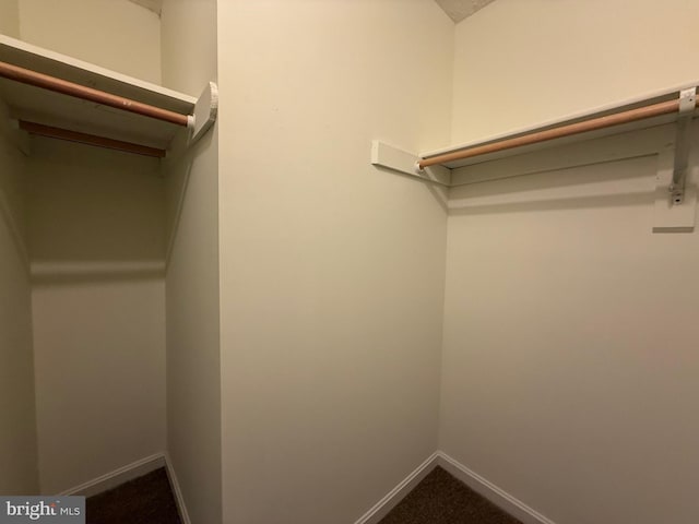 8 Steve Way, Baltimore, MD 21236 - walk in closet with dark carpet