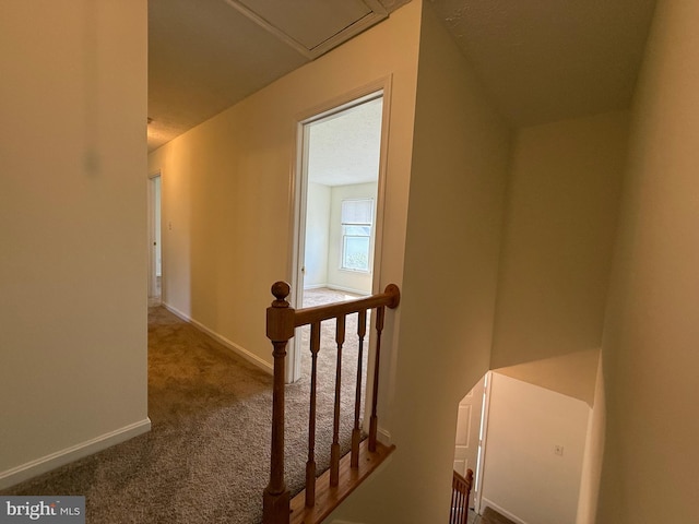 8 Steve Way, Baltimore, MD 21236 - stairway featuring carpet floors and baseboards