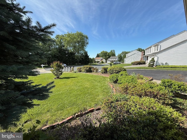 8 Steve Way, Baltimore, MD 21236 - view of grassy yard