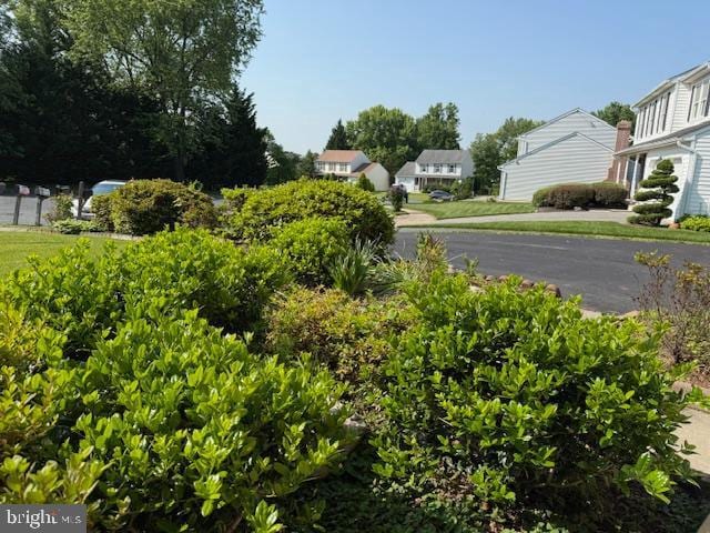 8 Steve Way, Baltimore, MD 21236 - view of asphalt street featuring a residential view