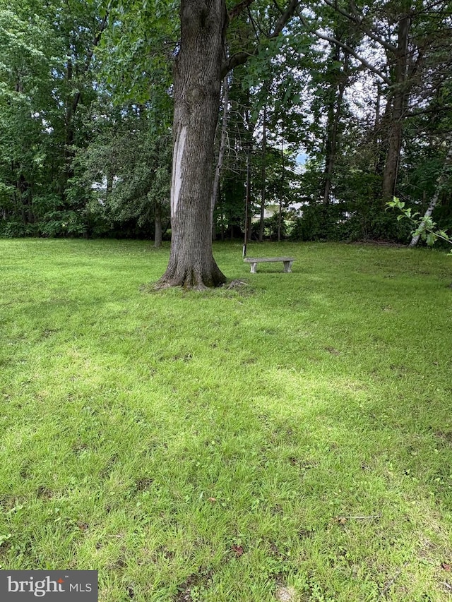 812 Agnes Ave, Morton, PA 19070 - view of green lawn