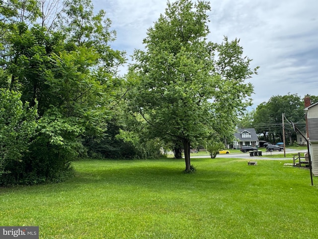 386 Round Hill Rd, Winchester, VA 22602 - view of grassy yard