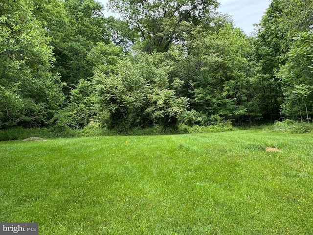 386 Round Hill Rd, Winchester, VA 22602 - view of yard with a view of trees