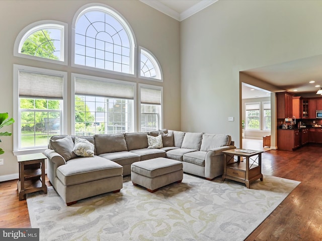 40 Inaugural Way, Charles Town, WV 25414 - living room featuring ornamental molding, healthy amount of natural light, wood finished floors, a high ceiling, and baseboards