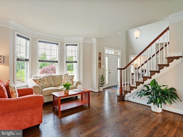 40 Inaugural Way, Charles Town, WV 25414 - living room with dark wood finished floors, baseboards, stairs, and crown molding