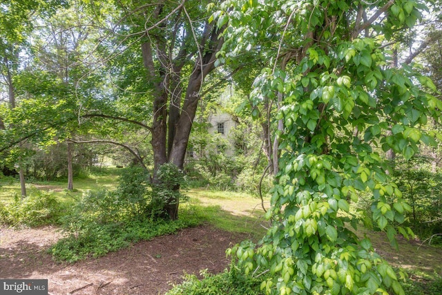 2607 John Owings Rd, Westminster, MD 21158