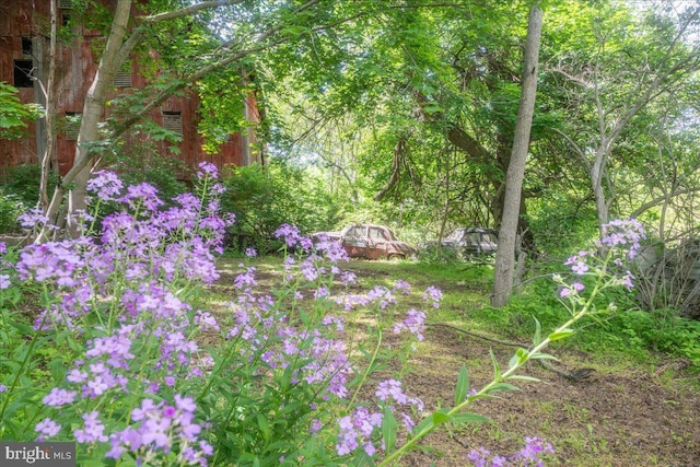 2607 John Owings Rd, Westminster, MD 21158