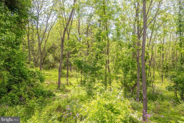 2607 John Owings Rd, Westminster, MD 21158