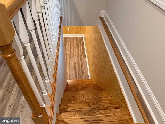 18 Bolton Branch Ln, Huntly, VA 22640 - view of staircase