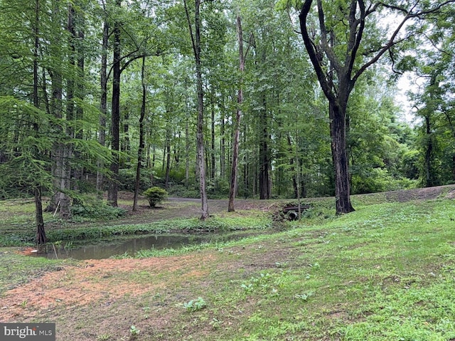 18 Bolton Branch Ln, Huntly, VA 22640 - view of wooded area