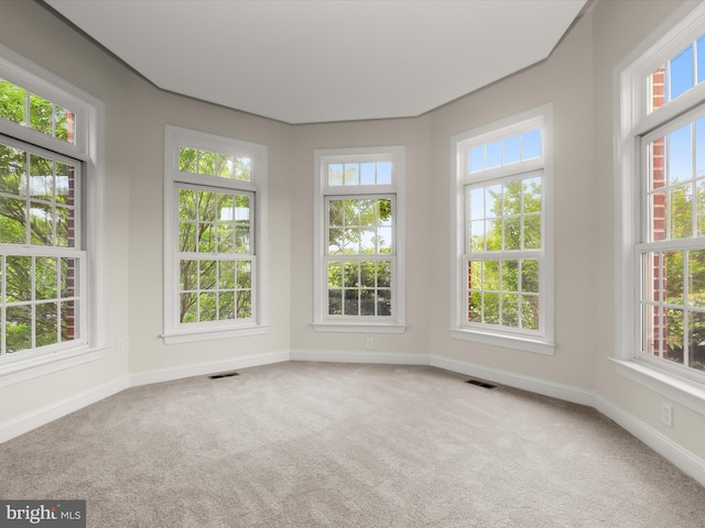 6419 Homebuilder Dr, Mount Airy, MD 21771 - unfurnished sunroom featuring plenty of natural light, carpet floors, and baseboards