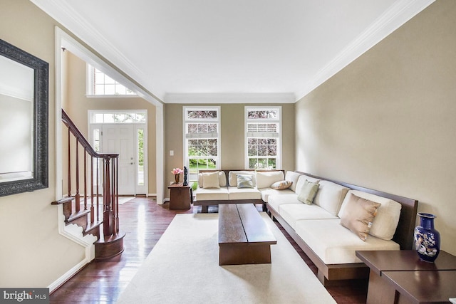 42435 Ibex Dr, Sterling, VA 20166 - living room featuring dark wood-style flooring, ornamental molding, baseboards, and stairs