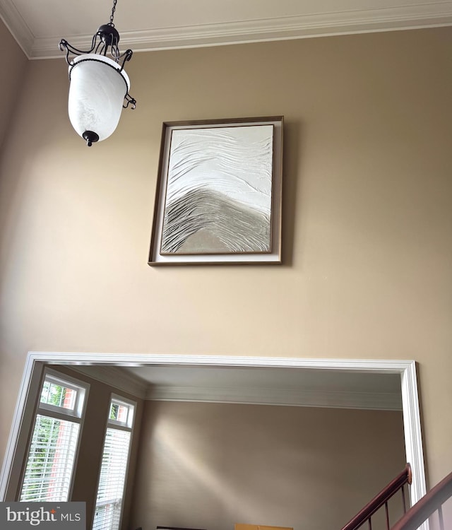 42435 Ibex Dr, Sterling, VA 20166 - detailed view of ornamental molding