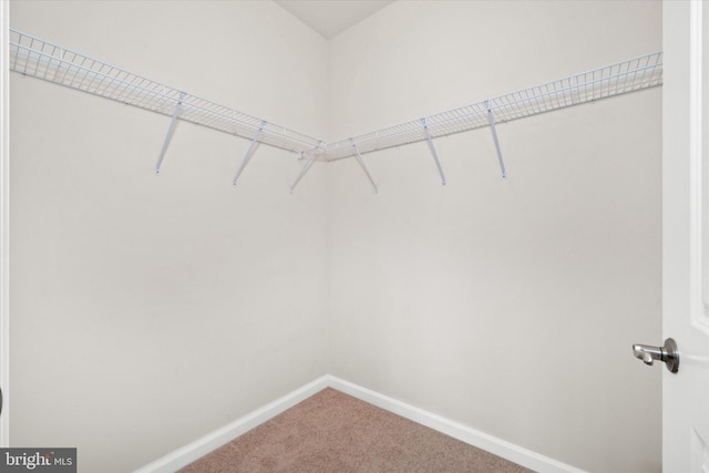 113 E Main St Unit 303, Newark, DE 19711 - walk in closet with carpet