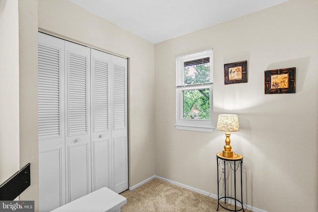 7533 Weather Worn Way Unit D, Columbia, MD 21046 - bedroom featuring light colored carpet and a closet