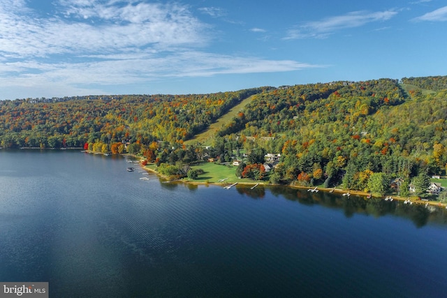 LOT4 Marsh Hill Rd, Mc Henry, MD 21541