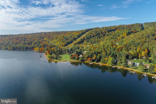 LOT4 Marsh Hill Rd, Mc Henry, MD 21541