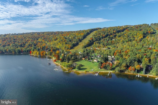 LOT4 Marsh Hill Rd, Mc Henry, MD 21541