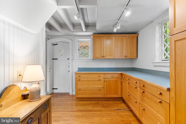 8515 Seminole St, Philadelphia, PA 19118 - kitchen with light wood-style floors, rail lighting, and light countertops