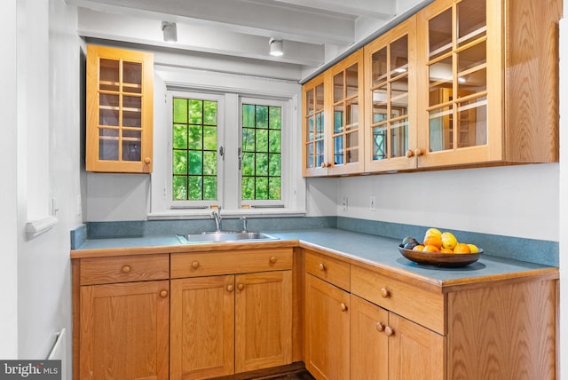 8515 Seminole St, Philadelphia, PA 19118 - kitchen with a sink, glass insert cabinets, and light countertops