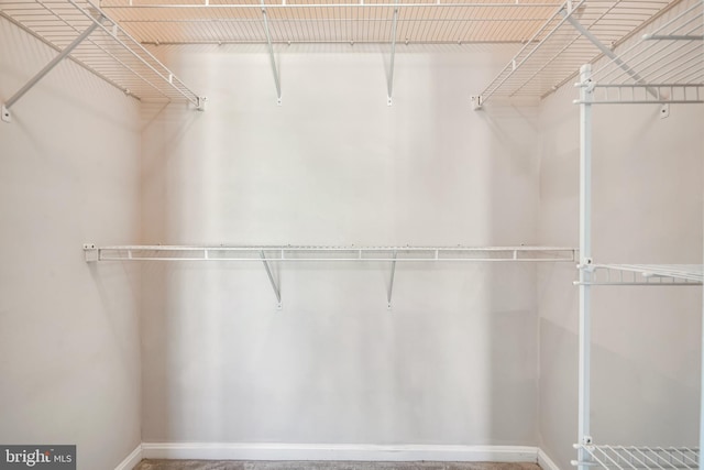 9486 Virginia Center Blvd Unit 316, Vienna, VA 22181 - view of walk in closet