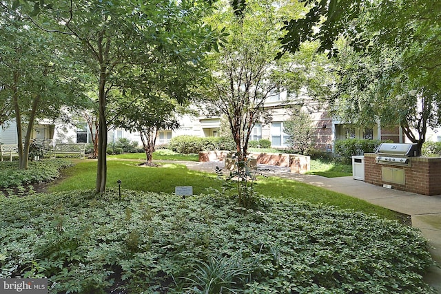 9486 Virginia Center Blvd Unit 316, Vienna, VA 22181 - view of green lawn with an outdoor kitchen