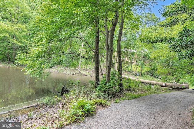 6034 Burnside Landing Dr, Burke, VA 22015 - view of yard featuring a wooded view and a water view