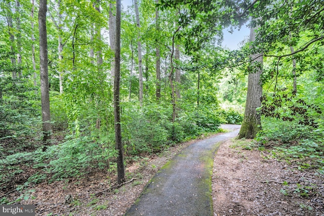 6034 Burnside Landing Dr, Burke, VA 22015 - view of street with a view of trees