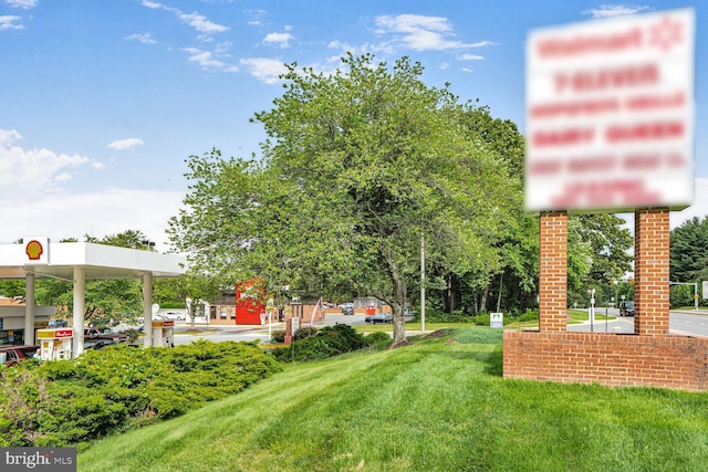 6034 Burnside Landing Dr, Burke, VA 22015 - view of green lawn