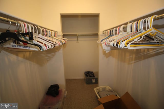29 Huber Ct, Hightstown, NJ 08520 - spacious closet with carpet