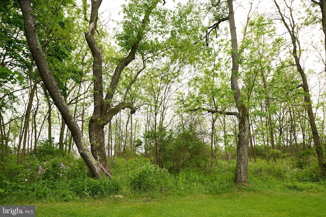 1581 W Branch Rd, State College, PA 16801 - view of wooded area