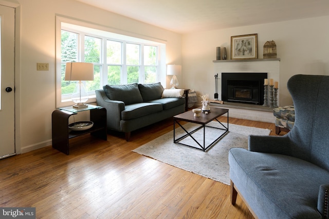 1581 W Branch Rd, State College, PA 16801 - living room featuring healthy amount of natural light, wood finished floors, a fireplace, and baseboards