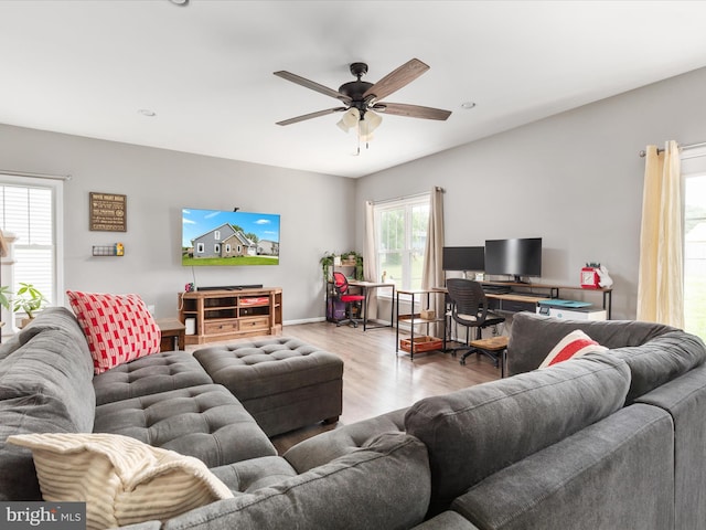 215 S Virginia St, Strasburg, VA 22657 - living room with wood finished floors, a ceiling fan, and baseboards
