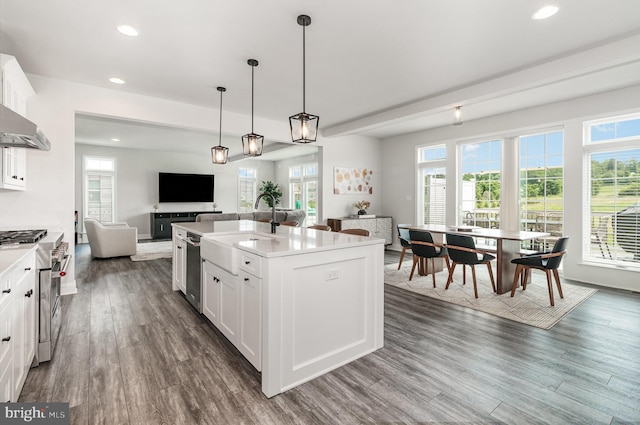 220 Moorefield St, Mechanicsburg, PA 17055 - kitchen featuring a sink, open floor plan, appliances with stainless steel finishes, dark wood-style flooring, and recessed lighting
