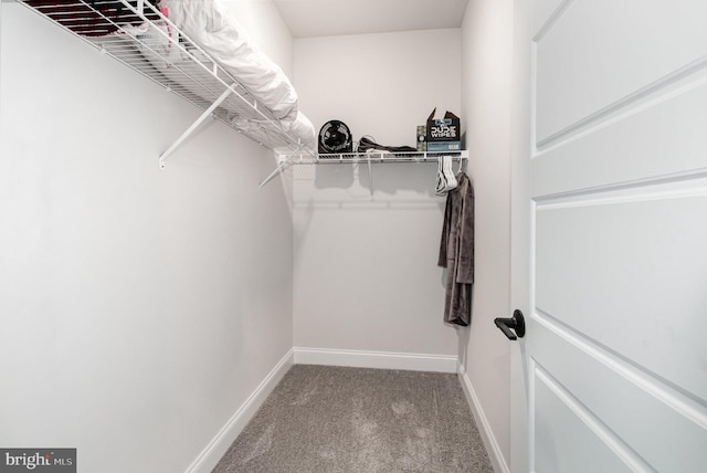 220 Moorefield St, Mechanicsburg, PA 17055 - walk in closet with carpet floors
