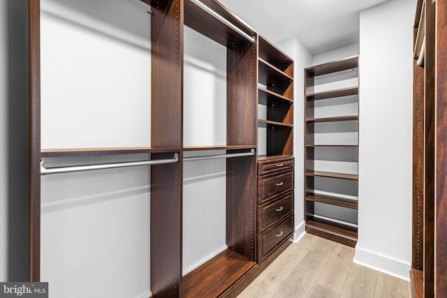 2772 Lighthouse Pt E Unit 101, Baltimore, MD 21224 - walk in closet featuring light wood-style floors