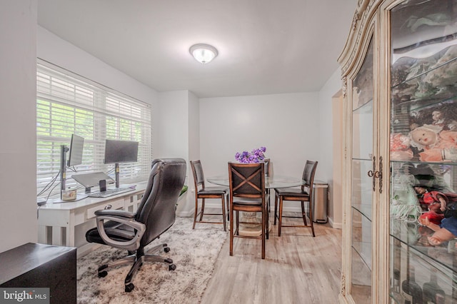 15 Darien Ct, New Castle, DE 19720 - home office featuring light wood-type flooring and baseboards