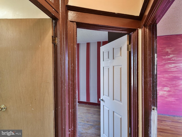 749 Bartlett Ave, Baltimore, MD 21218 - hallway with wood finished floors
