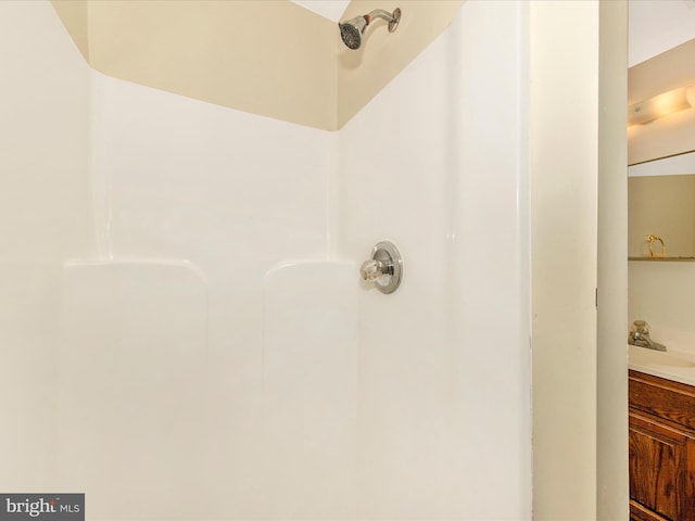1851 Dulaney Ct, Frederick, MD 21702 - bathroom with a shower and a sink