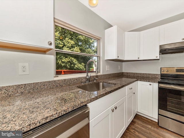 1851 Dulaney Ct, Frederick, MD 21702 - kitchen with appliances with stainless steel finishes, under cabinet range hood, a sink, and plenty of natural light