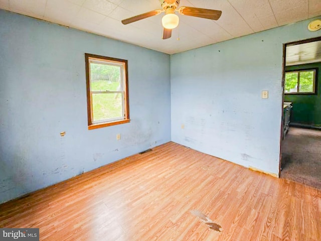 197 Coates Way, Fayette City, PA 15438 - spare room with wood finished floors and a ceiling fan