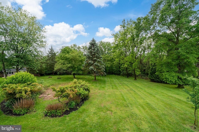 2332 Noel Cir, Pottstown, PA 19464 - view of grassy yard