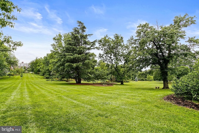 4405 Underwood Rd, Baltimore, MD 21218 - view of green lawn